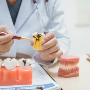 A person in a white coat points to a tooth model with a red pen. Nearby are dental tools and a model of gums with teeth, suggesting a dental lesson.