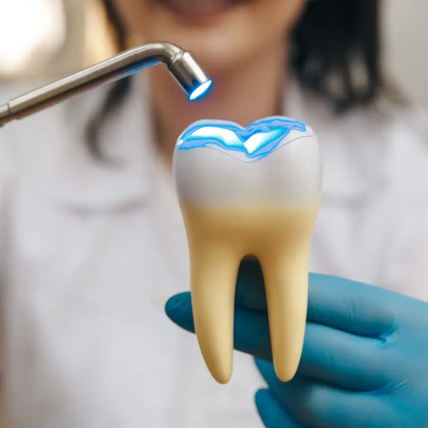 A dentist uses a curing light on a model tooth held with blue gloves. The tooth features blue highlighted sections, indicating a dental procedure.