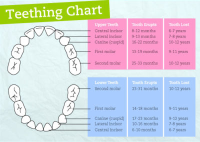 Baby and Toddlers Dental Health Part 3 | Clarinda Clinic